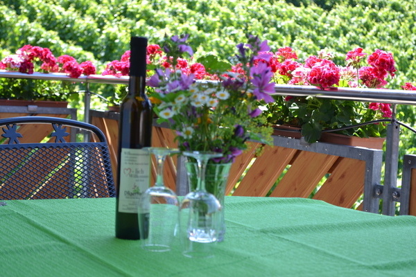 'M�blierter Balkon mit Blick in die Weinberge'