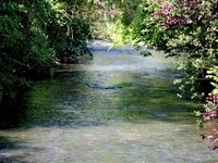 Tiefenbronn (Bildnachweis: Mit freundlicher Genehmigung des Bürgermeisteramtes Tiefenbronn) Tiefenbronn (Bildnachweis: Mit freundlicher Genehmigung des Bürgermeisteramtes Tiefenbronn)