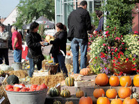 (Bildnachweis: Mit freundlicher Genehmigung der Stadt Neuenburg am Rhein) (Bildnachweis: Mit freundlicher Genehmigung der Stadt Neuenburg am Rhein)