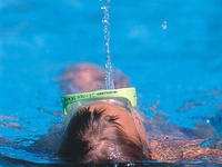 Bildnachweis: Mit freundlicher Genehmigung der Tourist-Information Glottertal Bildnachweis: Mit freundlicher Genehmigung der Tourist-Information Glottertal