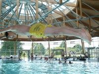 Bildnachweis: Mit freundlicher Genehmigung der WTVS. Bildnachweis: Mit freundlicher Genehmigung der WTVS.