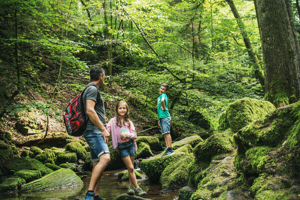 Familienwanderung Monbachtal Bildnachweis: ©Locher Fotodesign & Manufaktur Familienwanderung Monbachtal Bildnachweis: ©Locher Fotodesign & Manufaktur