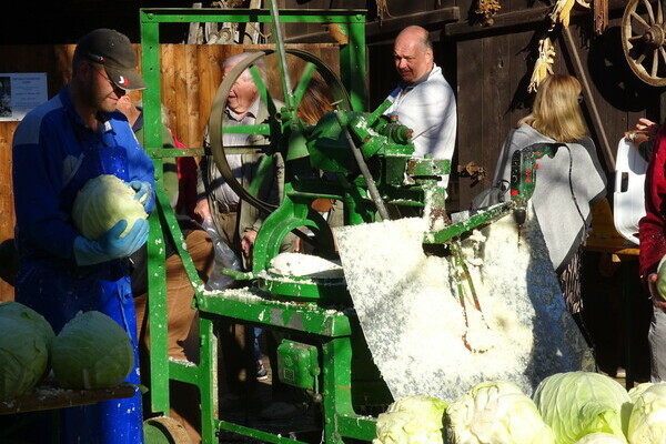 Krautschneiden Bildnachweis: Mit freundlicher Genehmigung des AHK Keltern und deren Fotographen Krautschneiden Bildnachweis: Mit freundlicher Genehmigung des AHK Keltern und deren Fotographen