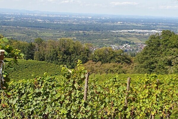 Weitblick Durbach Escape Trekking Wanderungen Bildnachweis: Mit freundlicher Genehmigung der Durbach Event Gruppen und Teamveranstaltungen Weitblick Durbach Escape Trekking Wanderungen Bildnachweis: Mit freundlicher Genehmigung der Durbach Event Gruppen und Teamveranstaltungen