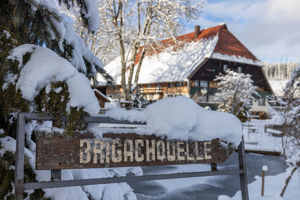Brigachquelle Bildnachweis: © Hochschwarzwald Tourismus GmbH Brigachquelle Bildnachweis: © Hochschwarzwald Tourismus GmbH