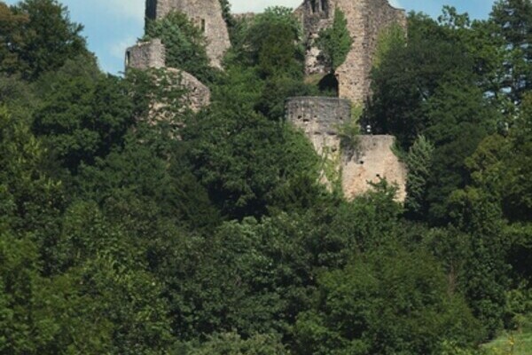 Bildnachweis: Mit freundlicher Genehmigung von Staatliche Schlösser und Gärten Ba.-Wü. Bildnachweis: Mit freundlicher Genehmigung von Staatliche Schlösser und Gärten Ba.-Wü.