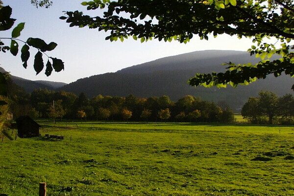 Bildnachweis: 4ws-netdesign Bildnachweis: 4ws-netdesign