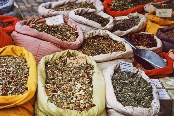 Bildnachweis: (Mit freundlicher Genehmigung Freiburgerleben Ursula Tenderich und Caterina Mesina GbR) Bildnachweis: (Mit freundlicher Genehmigung Freiburgerleben Ursula Tenderich und Caterina Mesina GbR)