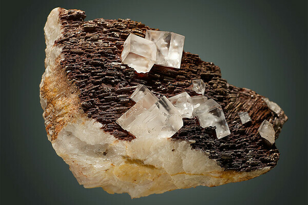 Bildnachweis: MiMa Museum Oberwolfach Bildnachweis: MiMa Museum Oberwolfach