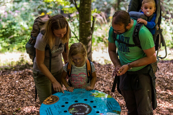 Wolfspfad Copyright: (� Tourist-Information H�chenschwand, Fotograf Klaus Hansen)