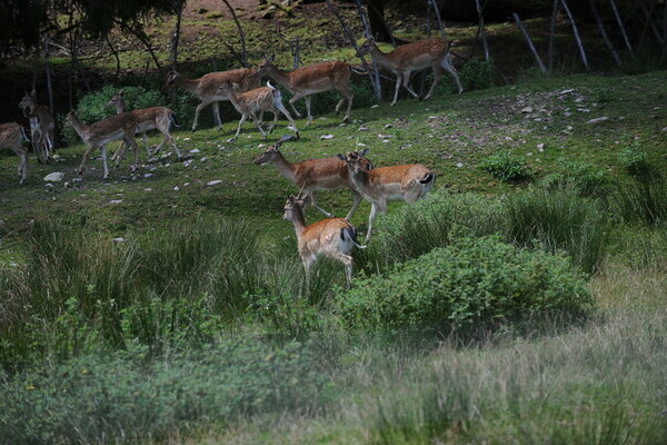 Bildnachweis: Mit freundlicher Genehmigung der WTVS. Bildnachweis: Mit freundlicher Genehmigung der WTVS.