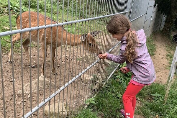 Kind füttert Reh Bildnachweis: 4Ws-Netdesign Kind füttert Reh Bildnachweis: 4Ws-Netdesign