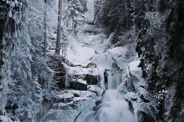 Triberger Wasserfälle Bildnachweis: Mit freundlicher Genehmigung der Gemeinde Triberg Triberger Wasserfälle Bildnachweis: Mit freundlicher Genehmigung der Gemeinde Triberg
