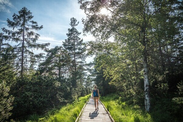 Wildsee Kaltenbronn Bildnachweis: Tourismus GmBh Nördlicher Schwarzwald, Alex Kijak Wildsee Kaltenbronn Bildnachweis: Tourismus GmBh Nördlicher Schwarzwald, Alex Kijak