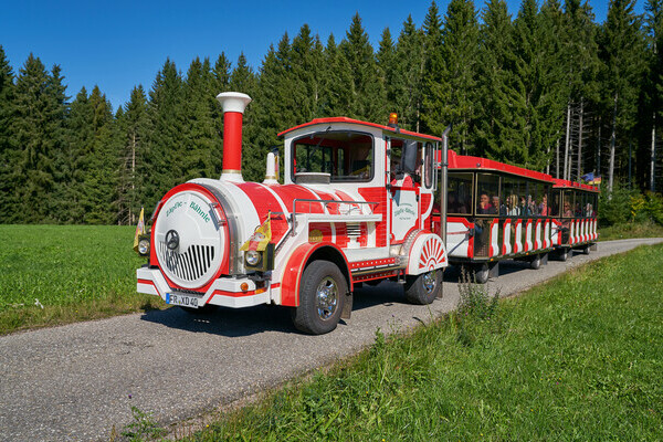 Bildnachweis: Willi Rosenstiel - Foto: Alexander Bock, AGENTUR 7 Bildnachweis: Willi Rosenstiel - Foto: Alexander Bock, AGENTUR 7