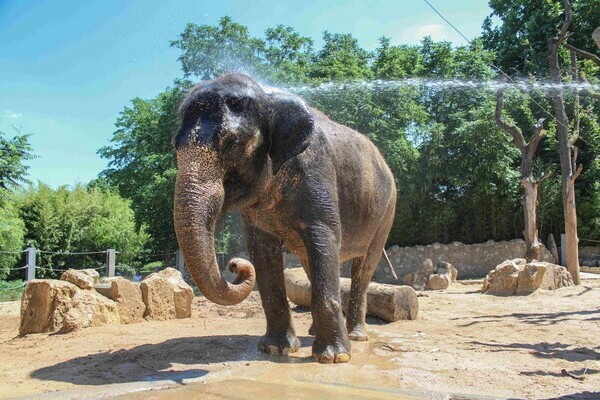 Bildnachweis: © Wilhelma Stuttgart Bildnachweis: © Wilhelma Stuttgart