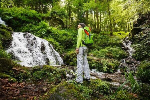 Himmelssteig Bildnachweis: © Bad Peterstal-Griesbach Himmelssteig Bildnachweis: © Bad Peterstal-Griesbach